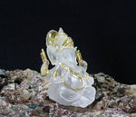statue ganesha blanc doré relief sculpté artisanal cérémonie mariage anniversaire évenement