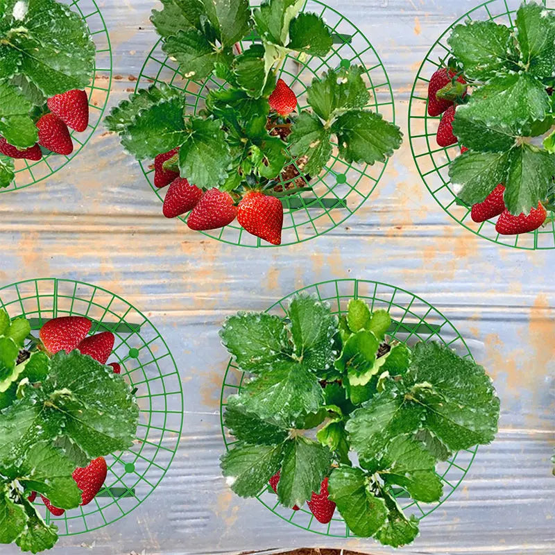 support plantes plastique vert grille rond utilitaire balcon pot fleur 8cm 12cm 18cm 30cm
