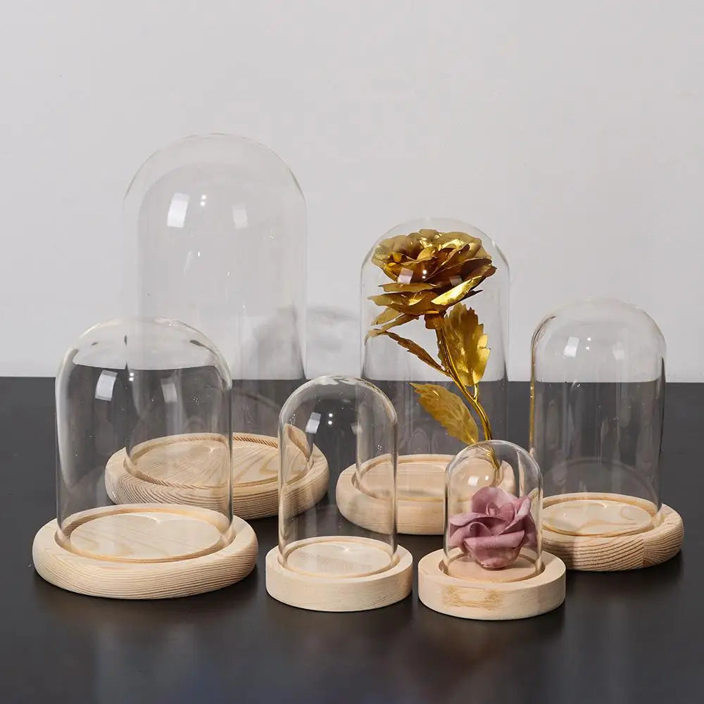 cloches verre transparentes moderne base bois qualité alimentaire hermétiques stockage