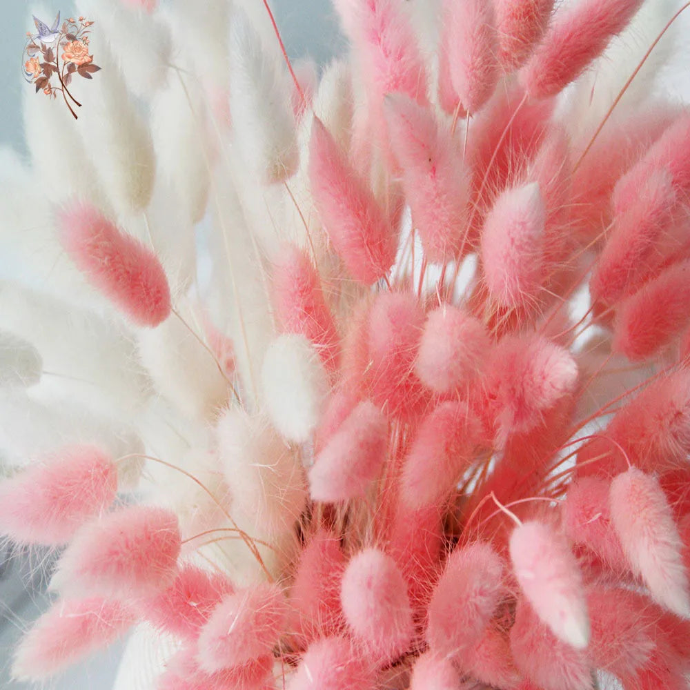 décoration maison bouquet fleurs séchées blanches roses naturelles minimalistes événements anniversaires fêtes