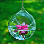 vase table transparent verre texturé minimaliste suspension 10cm 12cm fleur roseintérieur anneaususpension