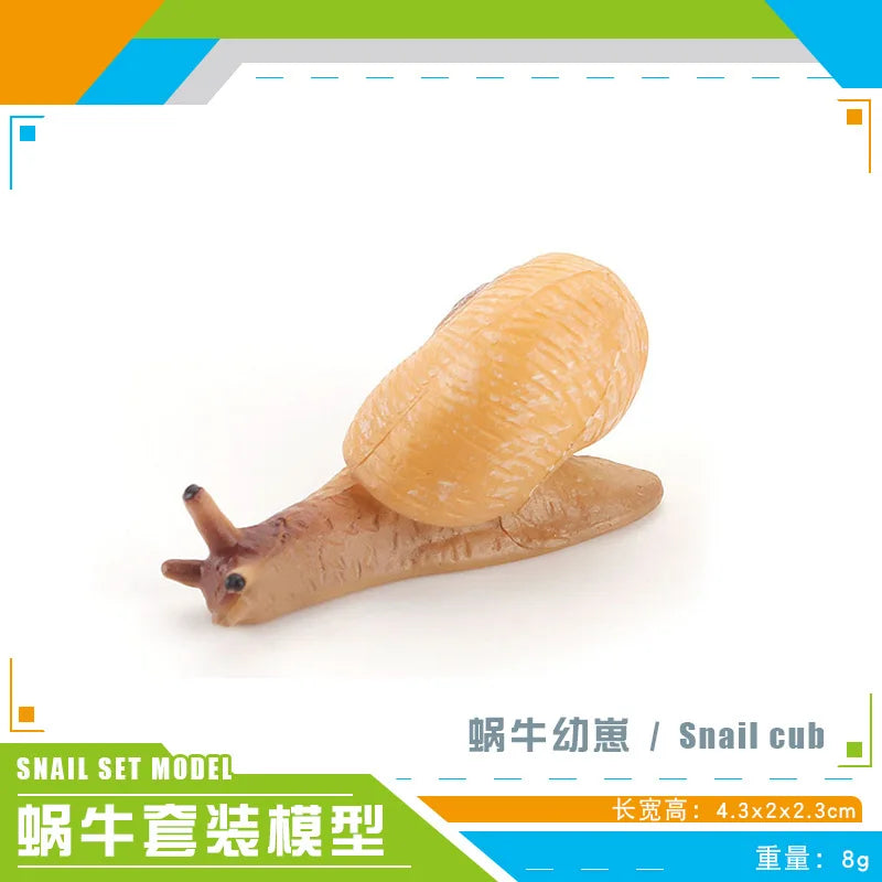 décoration miniature escargot coquille rayées réaliste couleur beige marron orange noir