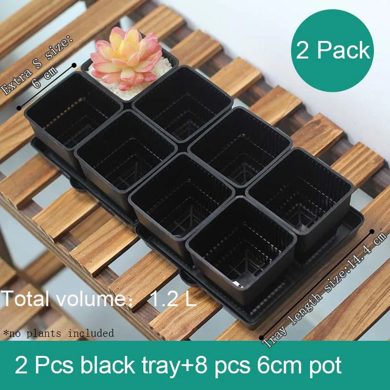 pots succulentes blancs modernes entailles drainage 6cm 7cm cactus pierres
