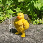 statue canard musclé jaune orange 3d humoristique décoration intérieure extérieure carnaval anniversaire noël