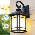 lampe murale extérieure noire classique rustique barreaux transparents hydrofuge mur vis fixations