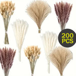 bouquet fleurs séchées pampa plumes fines beige blanc rose pâle naturel rustique clips decoration
