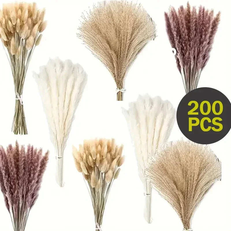 bouquet fleurs séchées pampa plumes fines beige blanc rose pâle naturel rustique clips decoration