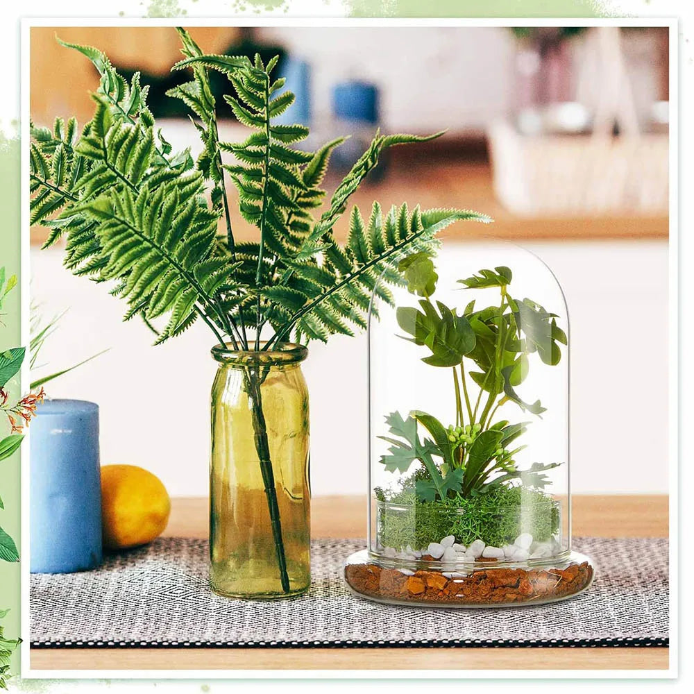 terrarium moderne transparent verre base vase plantes maison cloche