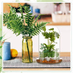 terrarium moderne transparent verre base vase plantes maison cloche