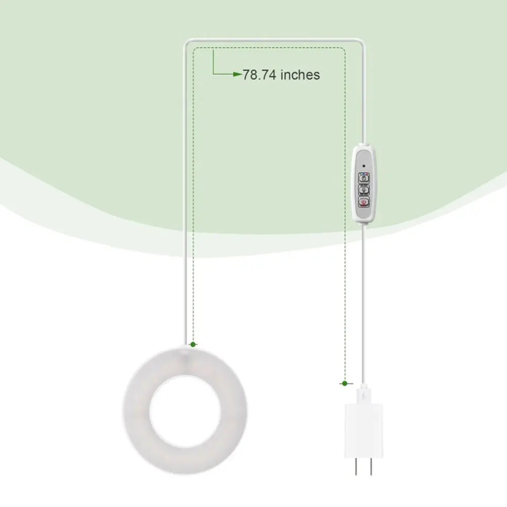 lampe led plante hauteur réglable lumière blanche circulaire moderne câble usb interrupteur