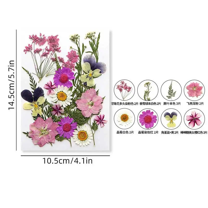 fleurs séchées violet bleu rose jaune naturelles décoration maison intérieur variés différents