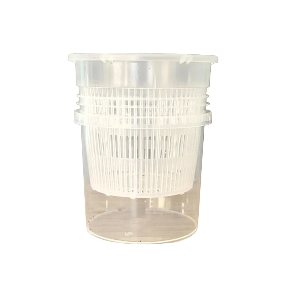 pots plante transparents plastique moderne grille drainage auto arrosage