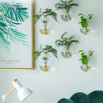 vases suspendus verre transparent modernes minimalistes adhésifs plantes intérieures