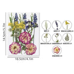 fleurs séchées violet bleu rose jaune naturelles décoration maison intérieur variés différents