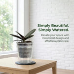 pot plantes auto arrosant transparent minimaliste grille ventilation réservoir d'eau