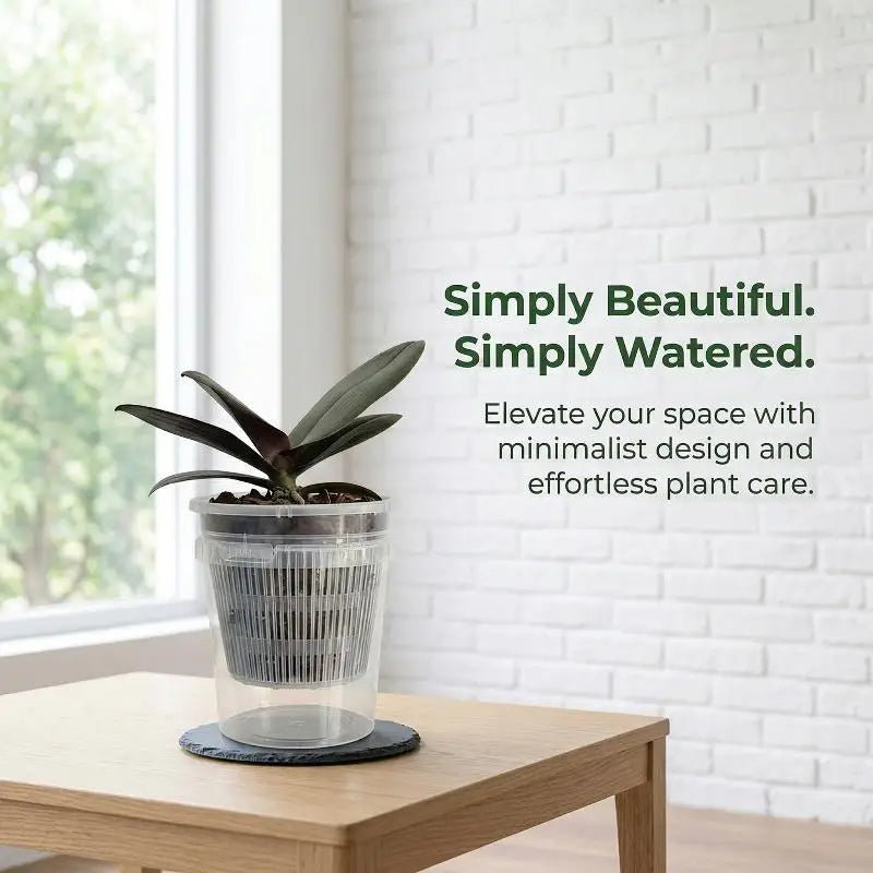 pot plantes auto arrosant transparent minimaliste grille ventilation réservoir d'eau