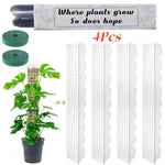poteau mousse transparent moderne grille support plantes intérieures croissance tutoriel mousse