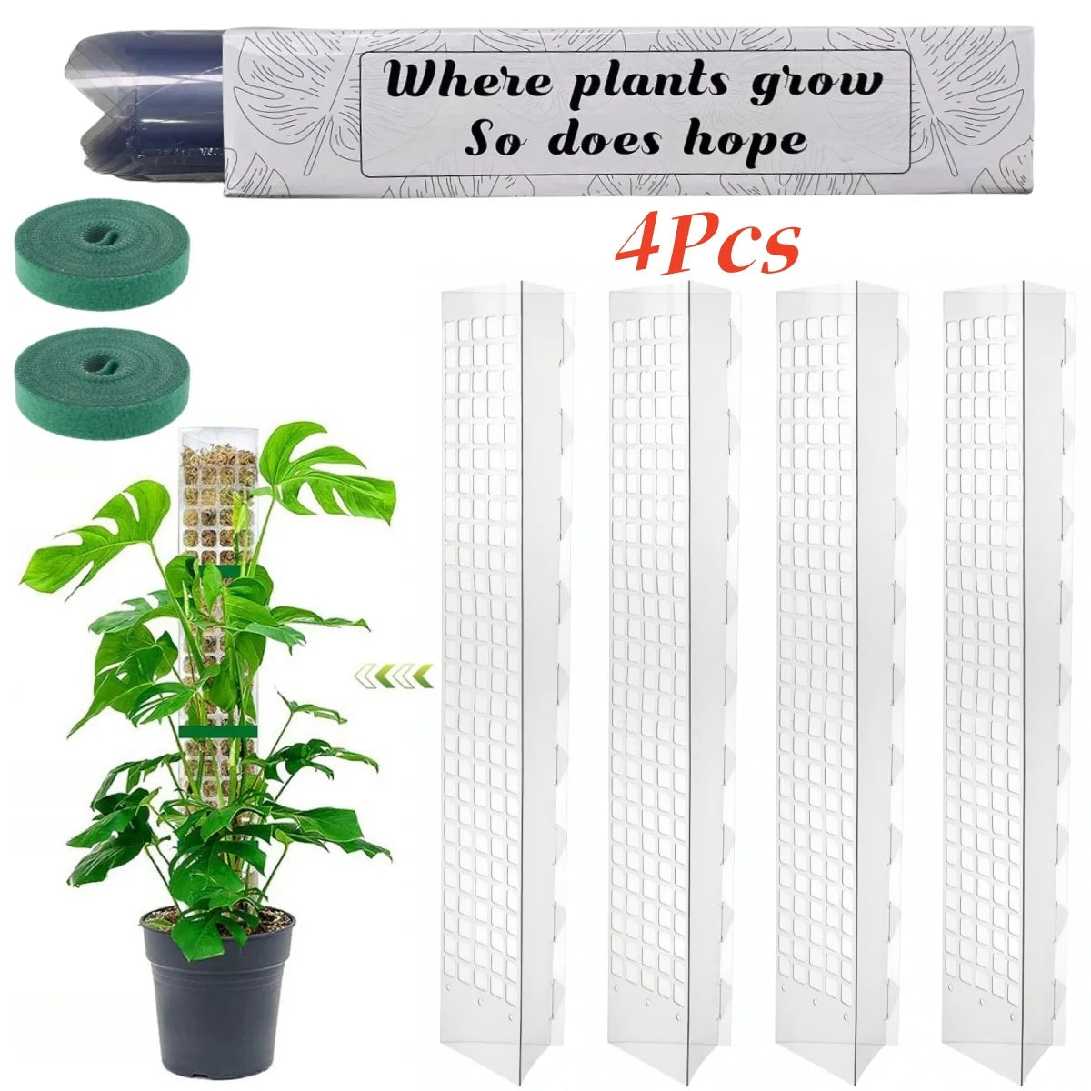 poteau mousse transparent moderne grille support plantes intérieures croissance tutoriel mousse