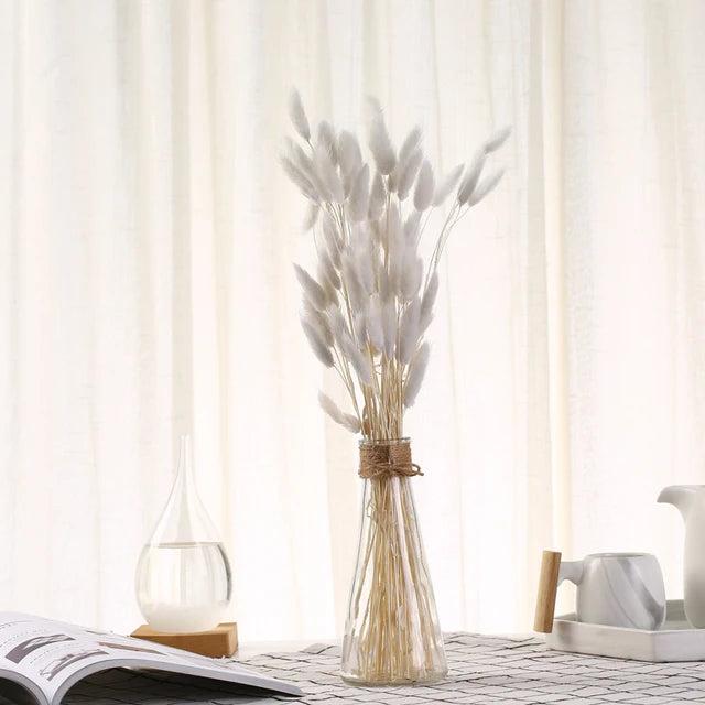 décoration maison plante séchée pampa moelleuse naturelle vase dried flowers beige rustiqueintérieur