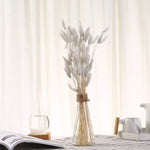 décoration maison plante séchée pampa moelleuse naturelle vase dried flowers beige rustiqueintérieur