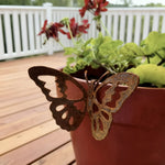 papillon ajouré rustique pot fleurs terracotta geraniums vintage extérieur jardinage