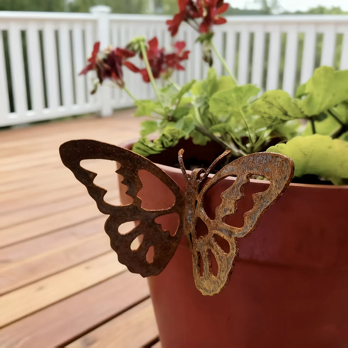 papillon ajouré rustique pot fleurs terracotta geraniums vintage extérieur jardinage