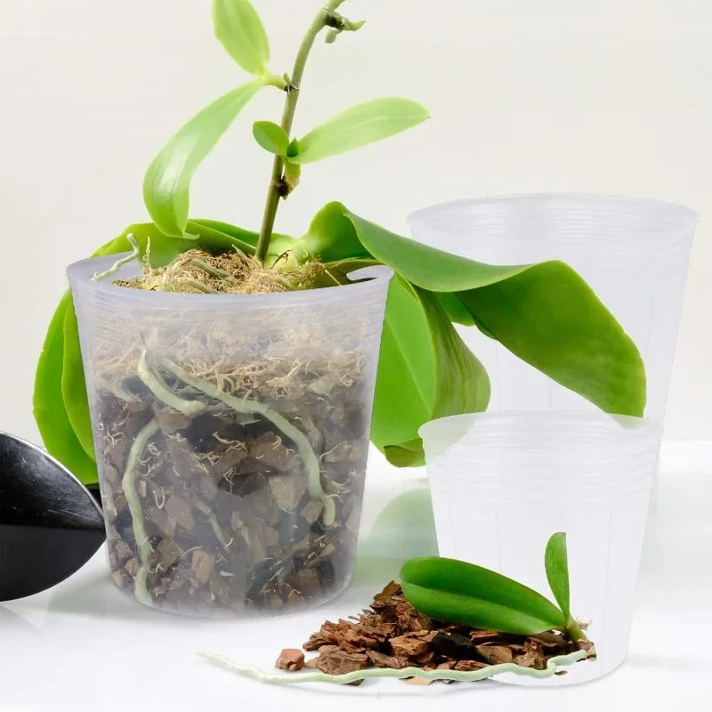 pots transparents modernes fleurs bacs pépinière drainage plastique uni okolets disponibles