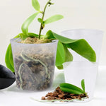 pots transparents modernes fleurs bacs pépinière drainage plastique uni okolets disponibles