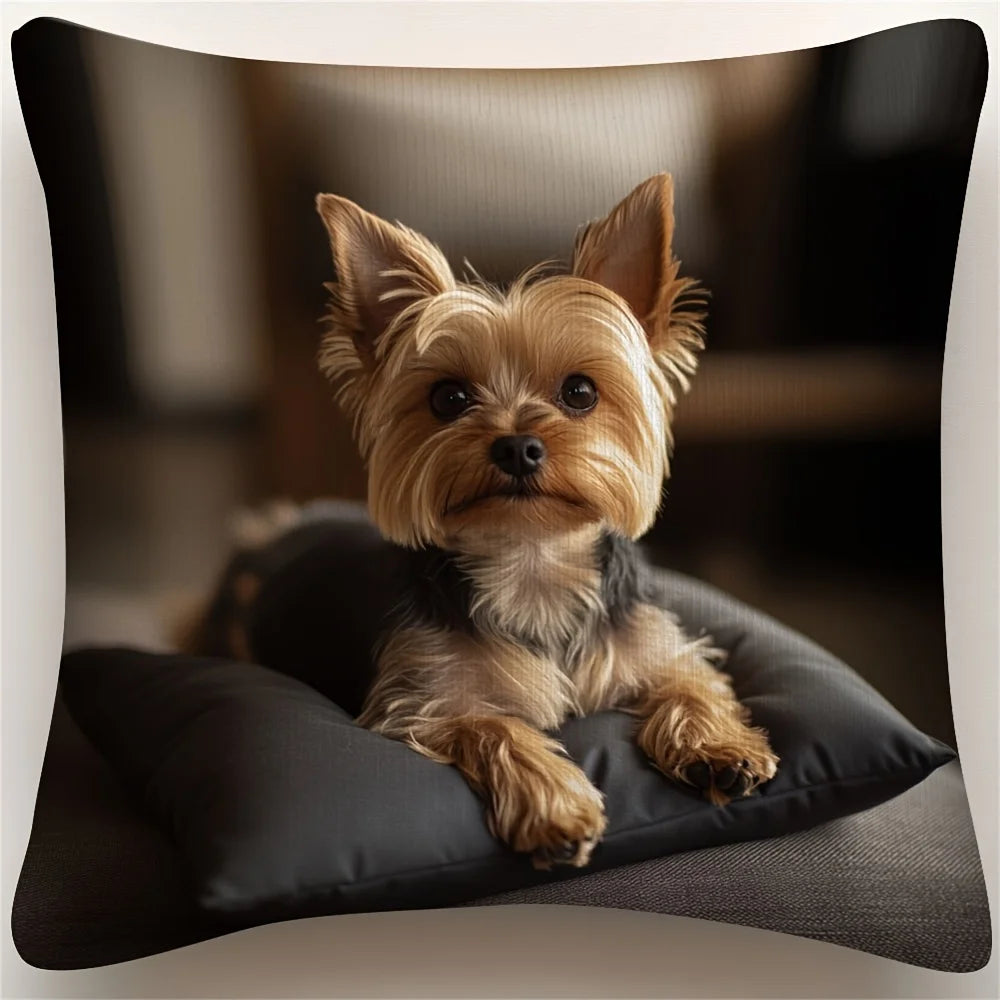 housse coussin carrée polyester imprimé chien noir décor moderne salon voiture