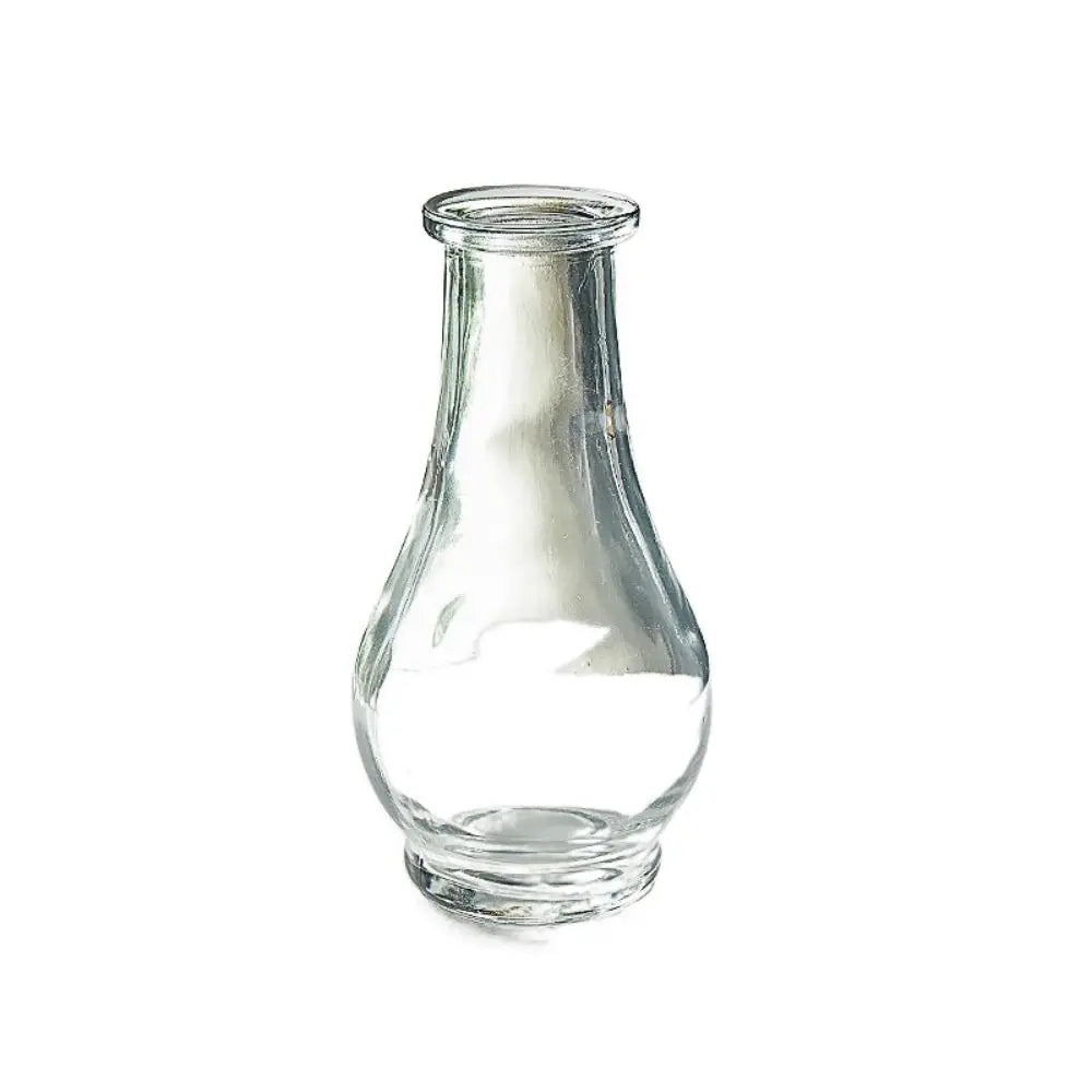 vase transparent gravé classique décoration intérieure plante hydroponique maison festive