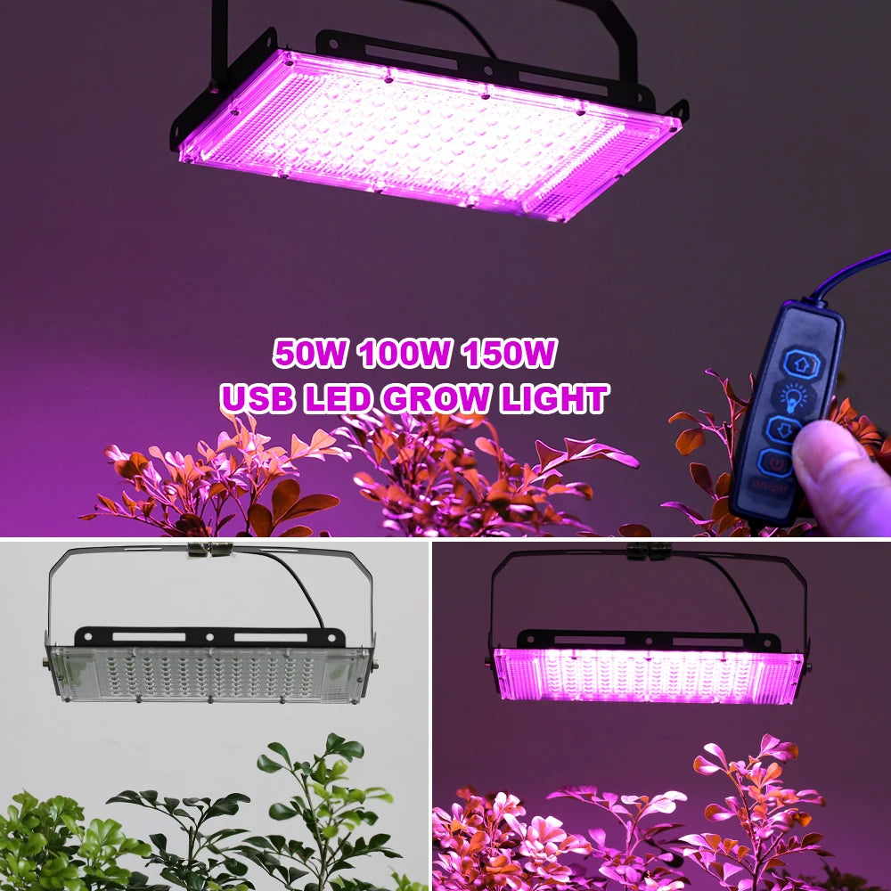 lampe led croissance végétale 50w 100w 150w violet noir moderne dimmer tringles aluminium