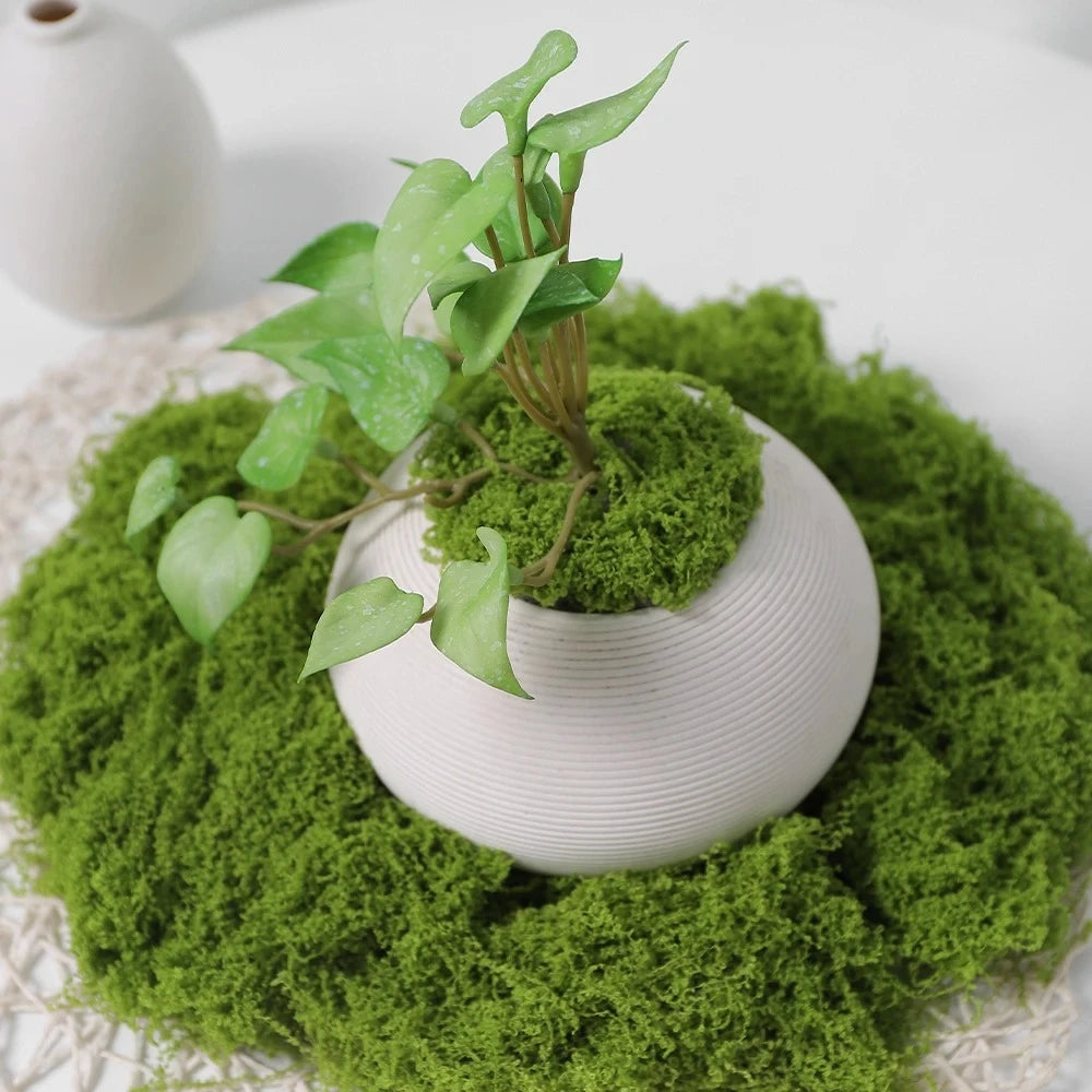 décoration intérieure pot plante artificielle mousse herbe gris blanc moderne minimaliste