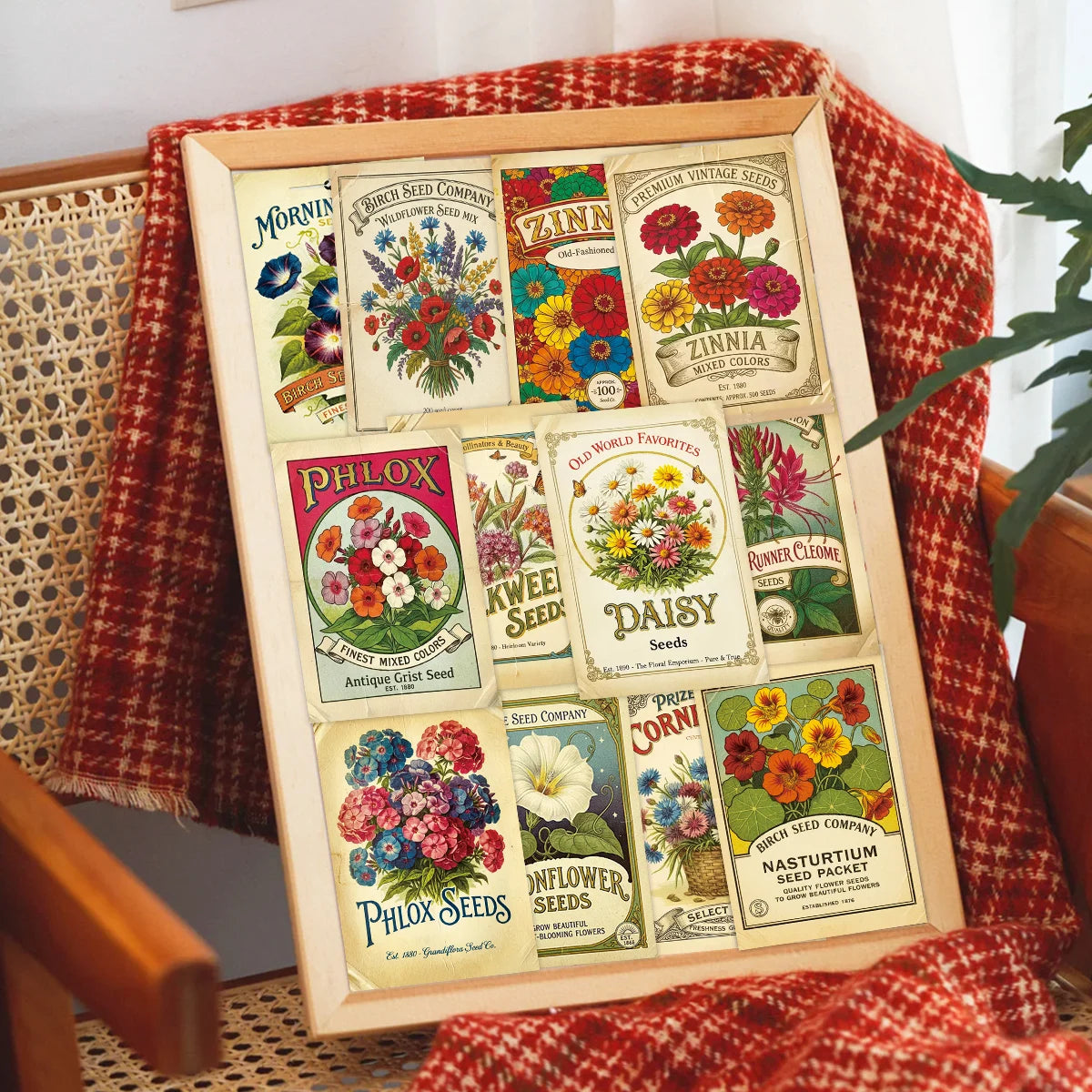 posters fleurs vintage botaniques papier jauni motifs floraux phlox cosmos zinnias marguerites papillons chevalets
