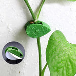clips plantes autoadhésifs forme feuilles vert moderne pack 100 clips