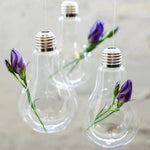 ampoules verre transparentes modernes opalescentes cordelette boutons fixation pot plantes minimaliste