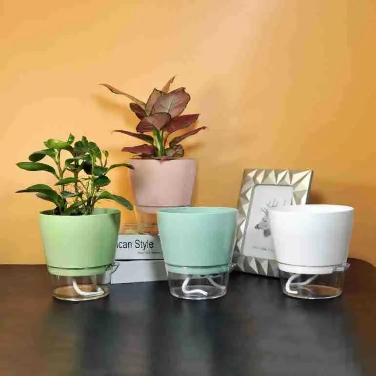 pot fleurs transparent bas blanc rose pâle vert clair moderne annuaire flexible