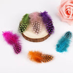 plumes naturelles colorées violet vert rose orange bleu marron noir points artisanat décoration mariage