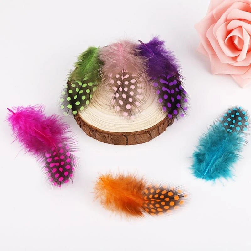 plumes naturelles colorées violet vert rose orange bleu marron noir points artisanat décoration mariage