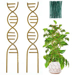 support plante grimpante spirale or moderne adhésif jardin extérieur croissance vigne protection fleur