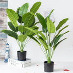 plantes artificielles ficus lyrata vertes modernes feuilles larges ovales tropicales décoration intérieure extérieure