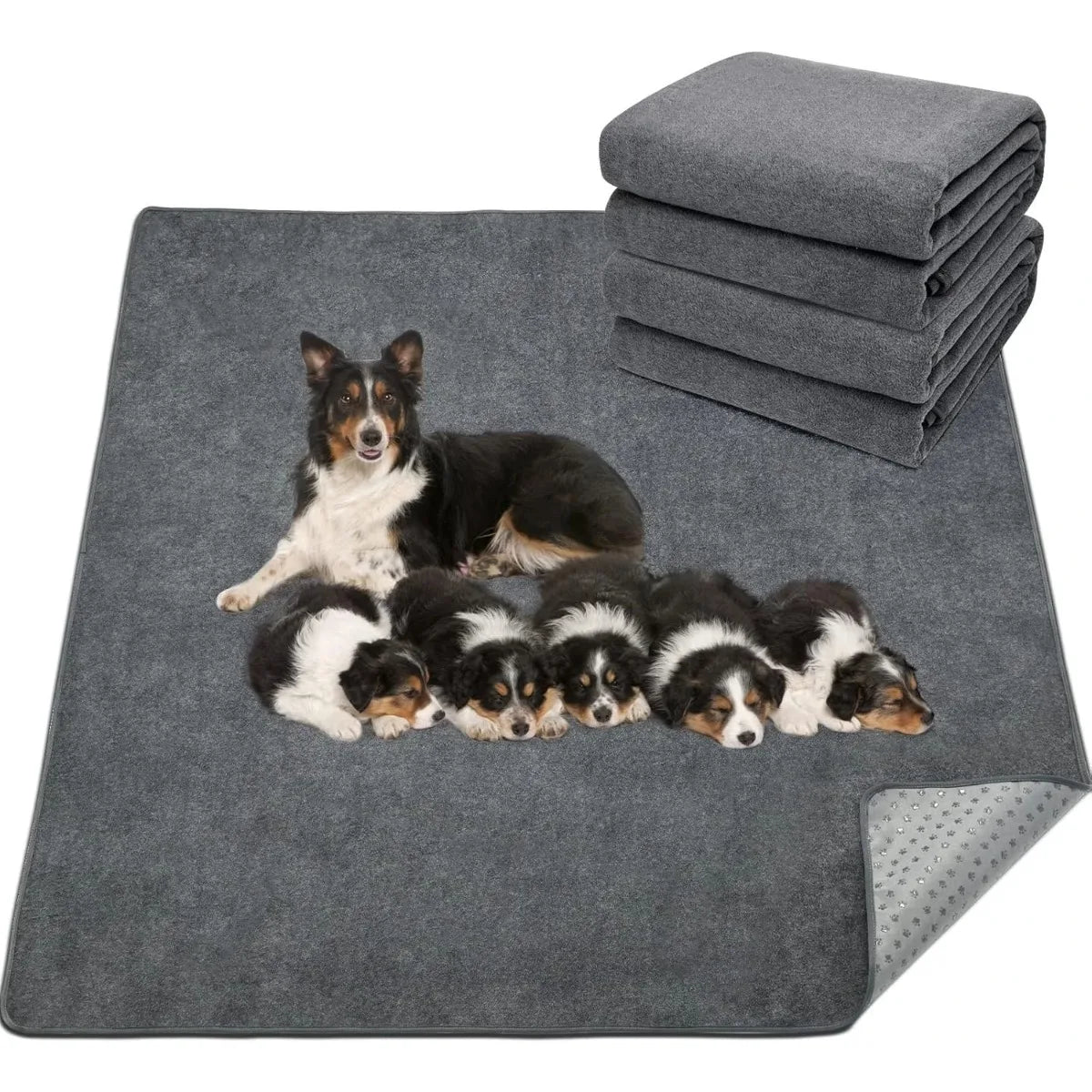 tapis absorbant chiens gris doux confortable lavable mécaniquement 180x180cm 45x60cm 50x70cm 70x100cm 90x120cm