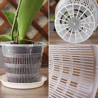Pot transparent pour orchidées avec contrôle racinaire vue de face
