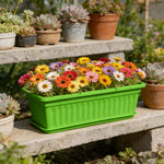 pots fleurs violet vert rose bleu jaune moderne rayures horizontales polyvalent légumes herbes