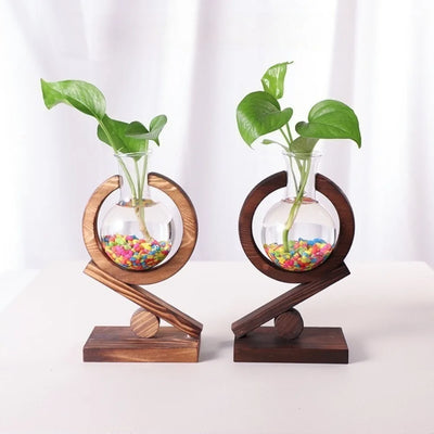 vase plante transparent verre bois moderne support table minimaliste naturel élégant deco