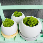 cache pots silicone blanc moderne plateau assorti cache pots beige minimaliste texture lisse