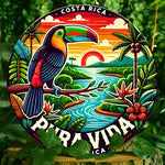 plaque métallique ronde illustration toucan paysage tropical coucher soleil fleurs exotiques multicolore rouge jaune