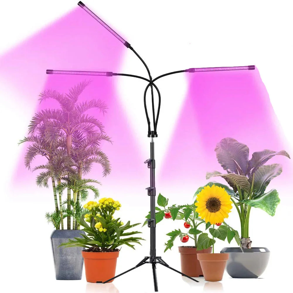 lampe led croissance plante intérieure usb réglable bouton variateur clips moderne noire aluminium