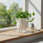 jardinière auto arrosante résine moderne pot fleur transparent racines croissance optimisée pothos plante verte