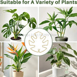 Support tiges plantes or noir vert spirale moderne intérieur pot balcon jardin