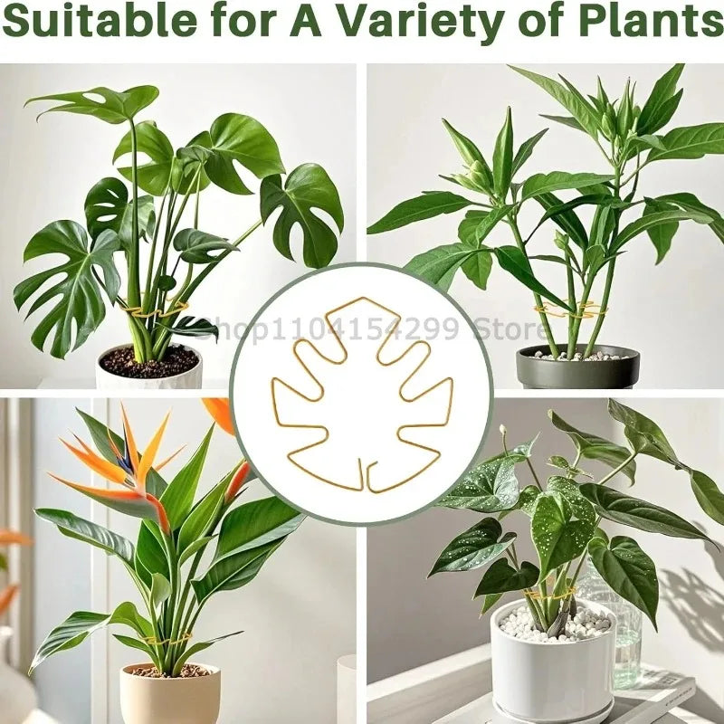 Support tiges plantes or noir vert spirale moderne intérieur pot balcon jardin